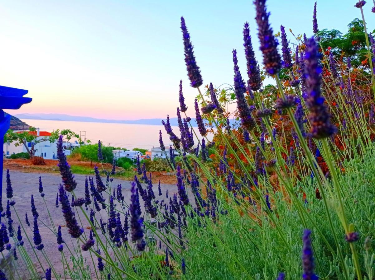 Evangelia House Sea View Apartments Agia Pelagia  Bagian luar foto